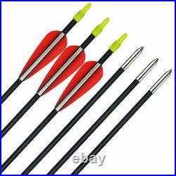 30/40lb Archery Takedown Recurve Bow 12x Fiberglass Arrows Set Hunting Target