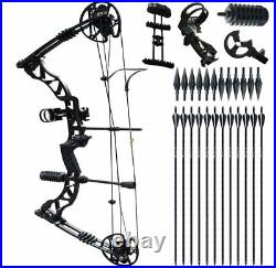 35-70lbs Archery Compound Bow Set Hunting Right Hand Arrow Adult Field Outdoor