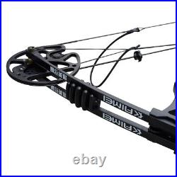 35-70lbs Archery Compound Bow Set Hunting Right Hand Arrow Adult Field Outdoor