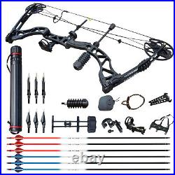 35-70lbs Archery Compound Bow Set Right Hand Arrow Adult Field Outdoor Hunting