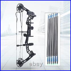 35-70lbs Pro Compound Right Hand Bow Arrow Kit Archery Arrow Target Hunting Set