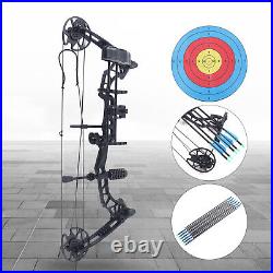 35-70lbs Pro Compound Right Hand Bow Arrow Kit Archery Arrow Target Hunting Set