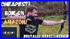 Amazon-S-Cheapest-Bow-Brutally-Honest-Review-Under-80-01-bzn