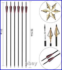 Archery 51 Takedown Recurve Bow and Arrows Set for Adults Right Hand Longbow Ki