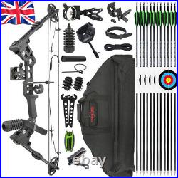 Archery Compound Bow Set 20-70lbs Arrows Hunting Sight Bag RH Target Shooting