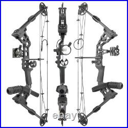 Archery Compound Bow Set 20-70lbs Arrows Hunting Sight Bag RH Target Shooting