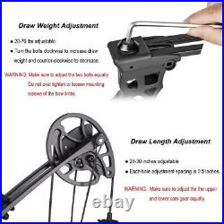 Archery Compound Bow Set 20-70lbs Arrows Hunting Sight Bag RH Target Shooting