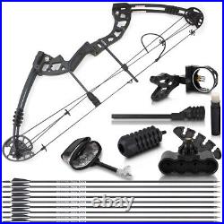 Archery Compound Bow Set 30-55lb Pure Carbon Arrows RH Outdoor Target Hunting