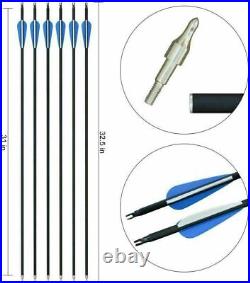 Archery Takedown Recurve Bow Set Hunting Right Hand Shooting Longbow Target Nail