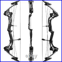 Compound Bow Archery 40-55lbs Recurve Bow Hunting Fishing Target Shooting 320FPS