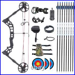 Compound Bow Archery Bow Arrows Set 30-60lb Adjustable Draw Power Target Hunting