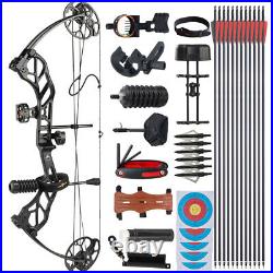 Compound Bow Arrows Kit 19-70lbs 320fps Archery Hunting Bow Shooting Target RH