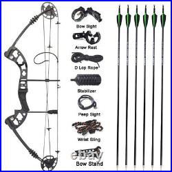 Compound Bow Arrows Set 30-60lbs Adjustable Archery Shooting Hunting Right Left