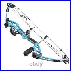 Compound Bow Set 30-55lbs Carbon Arrows Fishing Hunting Adults Archery Target