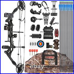 Compound Bow Set 30-70lbs Adjustable 320fps Carbon Arrows Archery Hunting Target