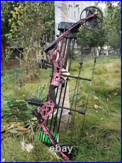 Compound Bow Set 30-70lbs Adjustable 320fps Carbon Arrows Archery Hunting Target