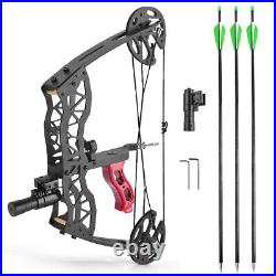 Mini Compound Bow Arrow Set 25lbs Fishing Hunting 16 Archery Right Left Hand